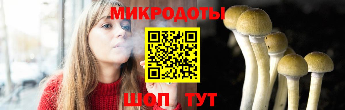 Псилоцибиновые грибы MAGIC MUSHROOMS Тверь